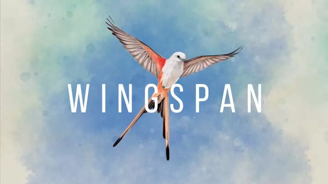 【美版】展翅翱翔 Wingspan 中文-17ns一起游戏网