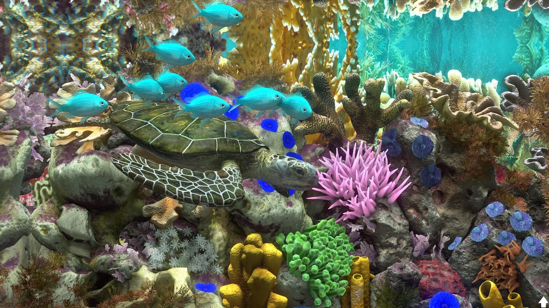 玻璃背后：水族馆模拟器/Behind Glass: Aquarium Simulator 版本更新