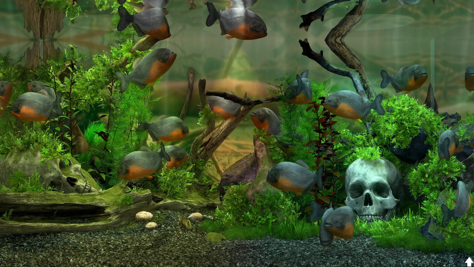 玻璃背后：水族馆模拟器/Behind Glass: Aquarium Simulator 版本更新