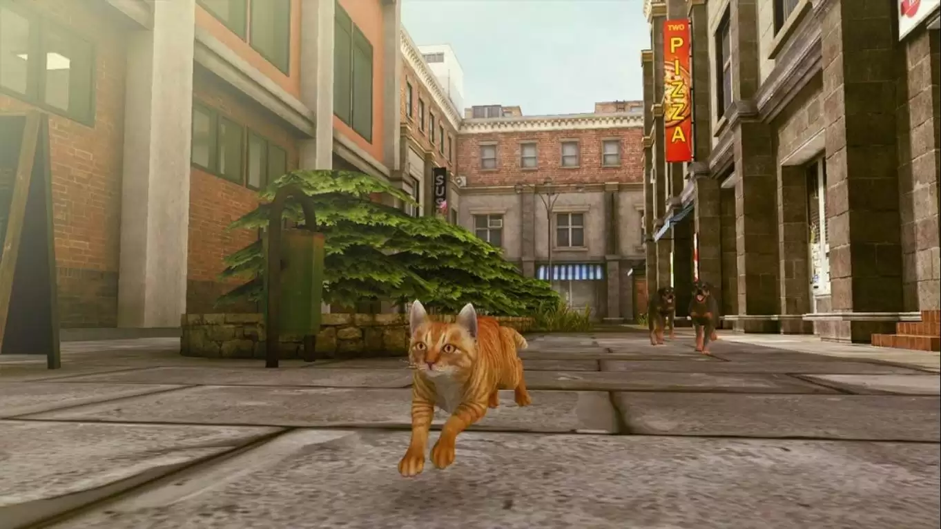【美版】小猫大营救2 .Little Strays 2 中文