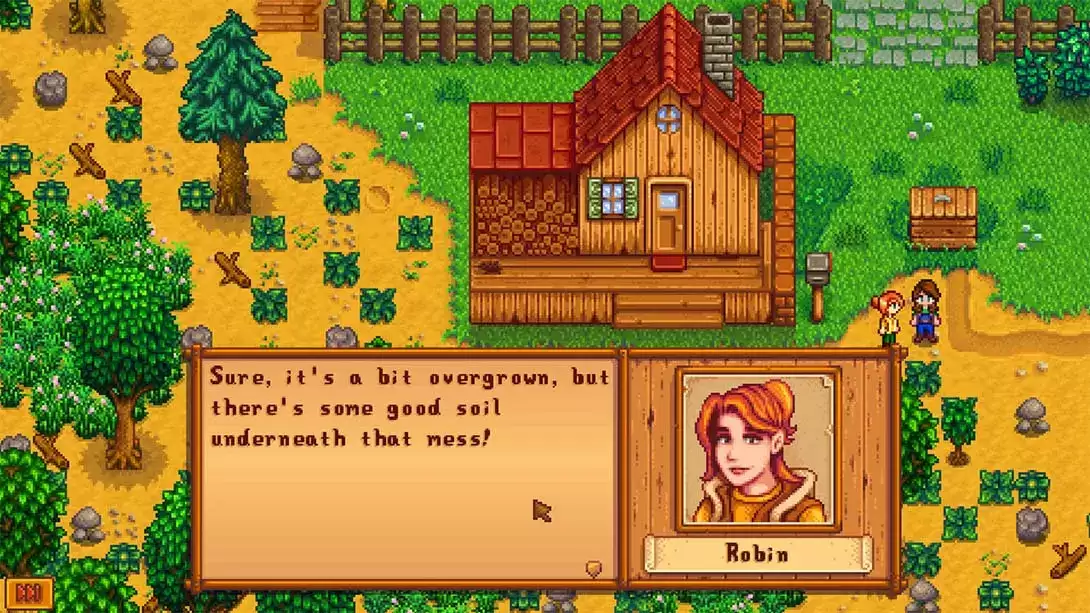 【美版】星露谷物语 Stardew Valley 中文