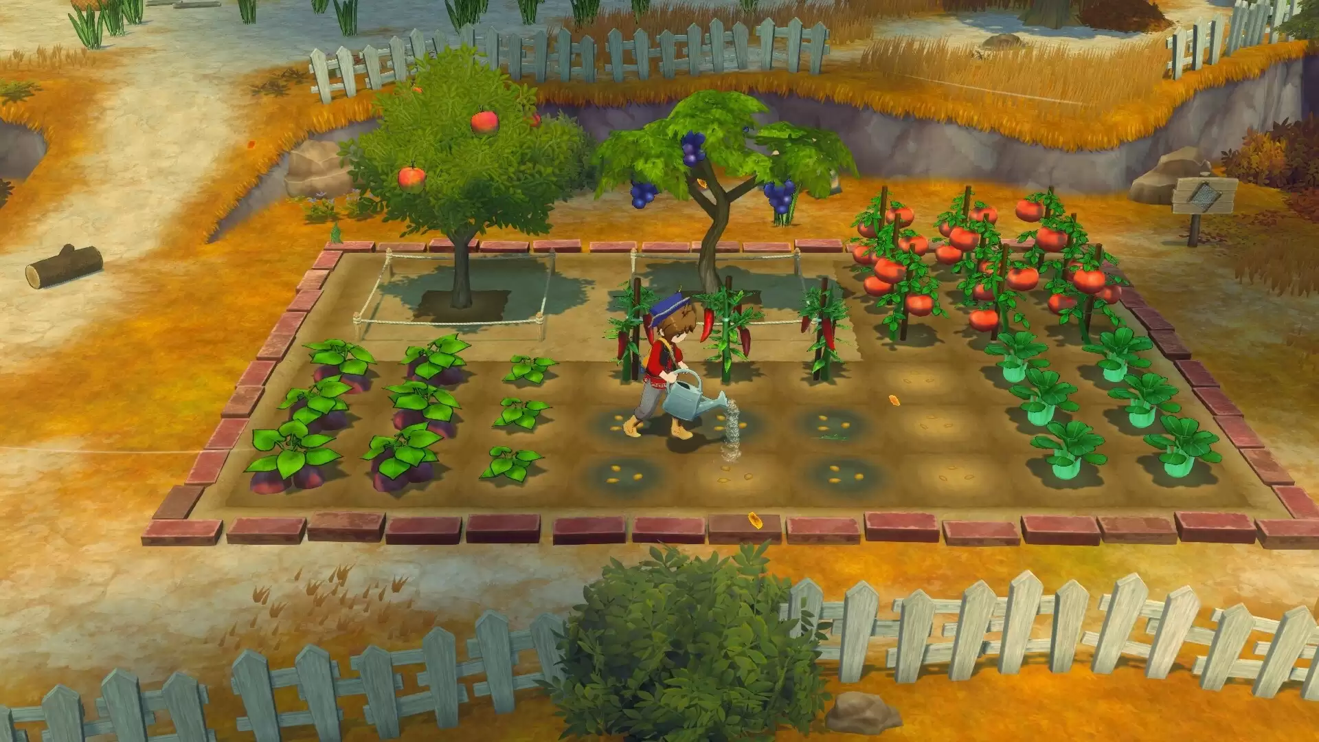 《牧场物语 来吧！风之繁华集市》v1.0.4中文版-17ns一起游戏网