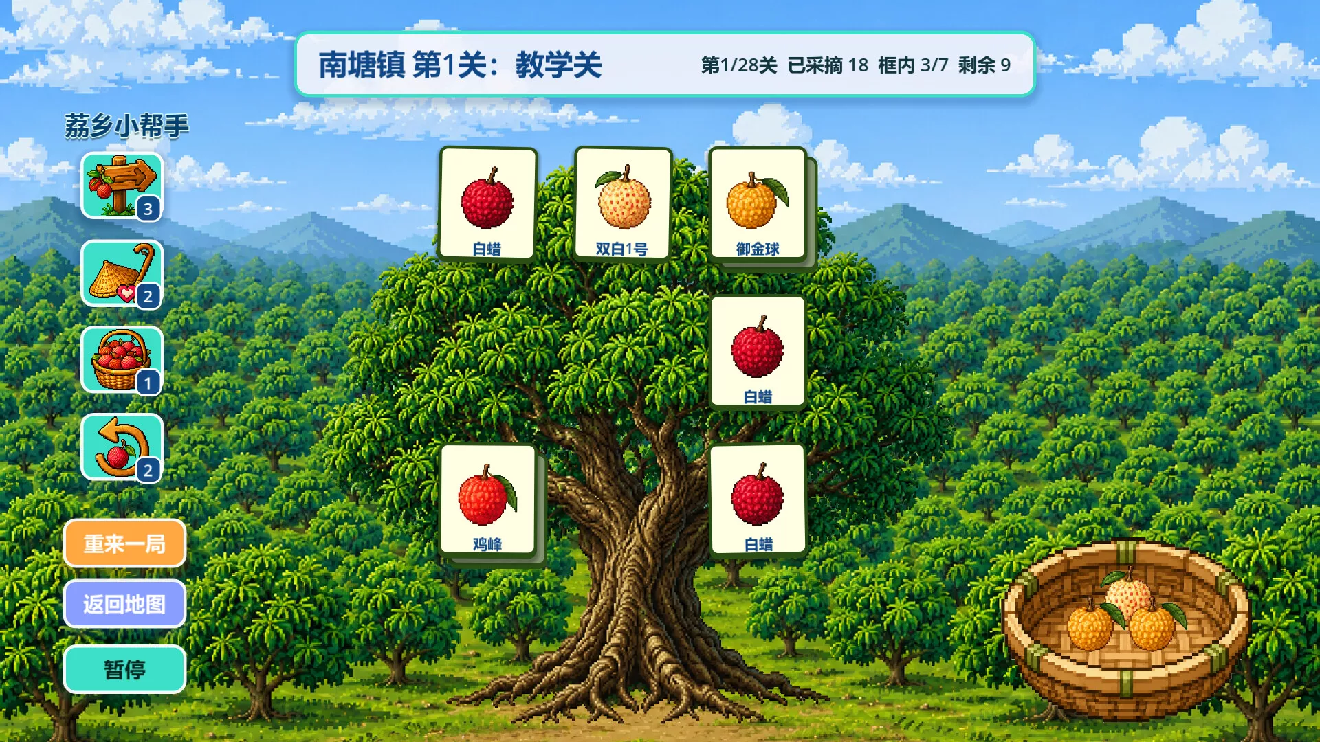 来高州识荔枝/Know Lychees