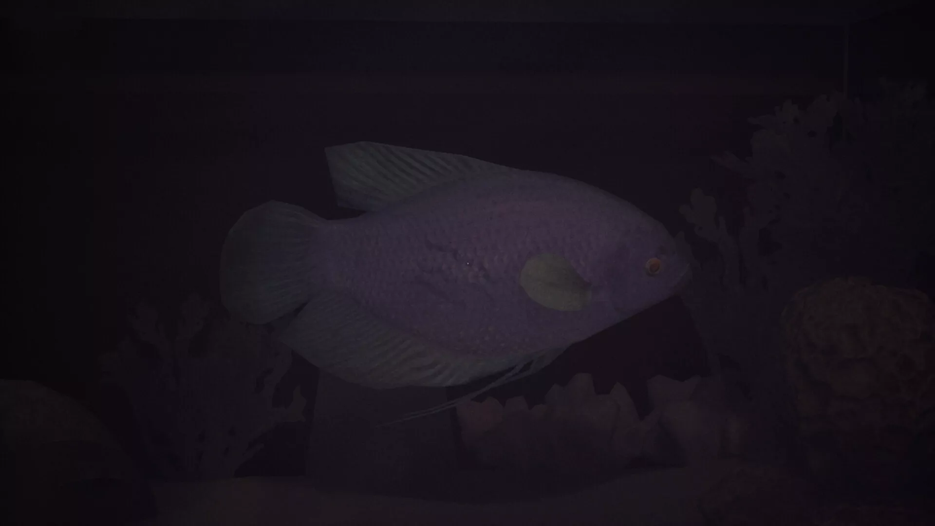 哈鲁：金鱼/Halu – The Fish 新游发布
