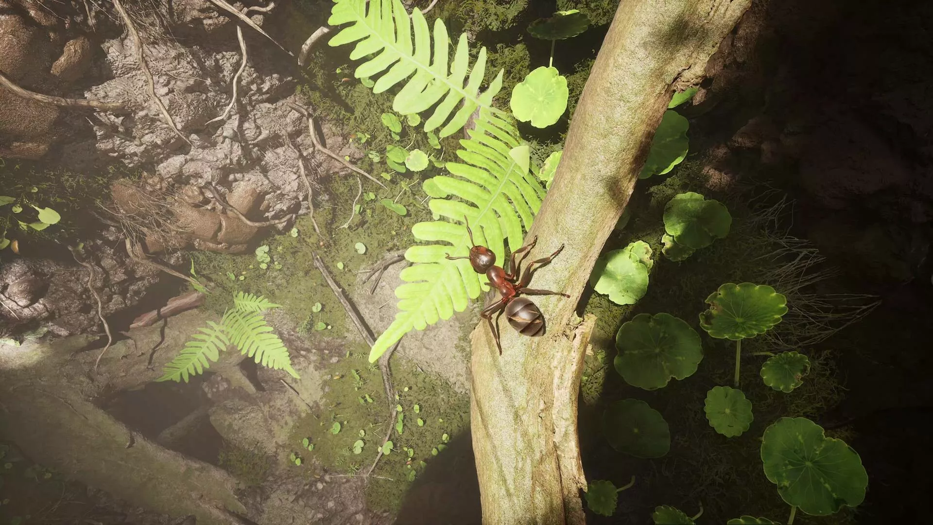 蚂蚁帝国/Empire of the Ants 版本更新