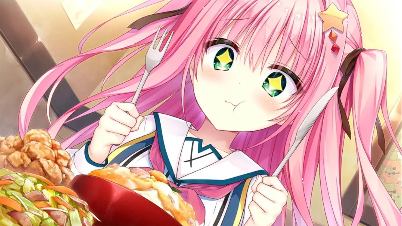 【日版】选择义务 セレクトオブリージュ 日语