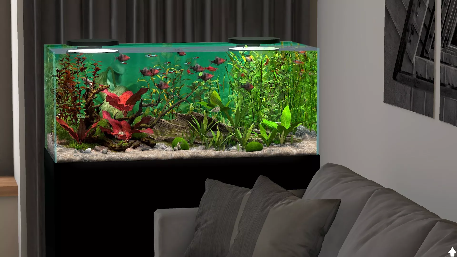 玻璃背后：水族馆模拟器/Behind Glass: Aquarium Simulator 版本更新
