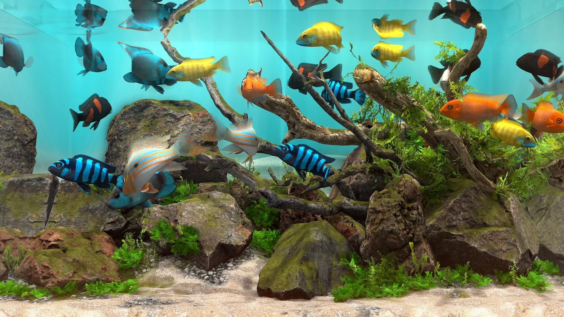 玻璃背后：水族馆模拟器/Behind Glass: Aquarium Simulator 版本更新-17ns一起游戏网